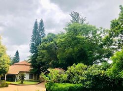 Holland Avenue (D10), Detached #450296381